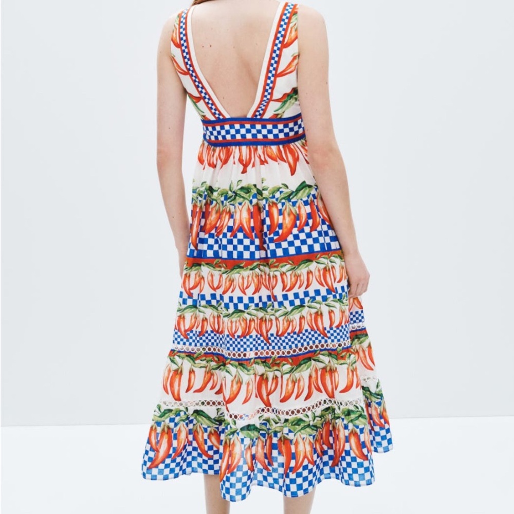 FARM Rio Picnic Peppers Ainika Midi Dress - Picture 4 of 12